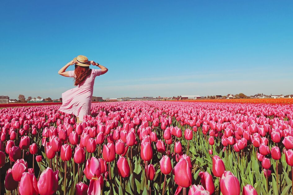 花畑で楽しむ女性